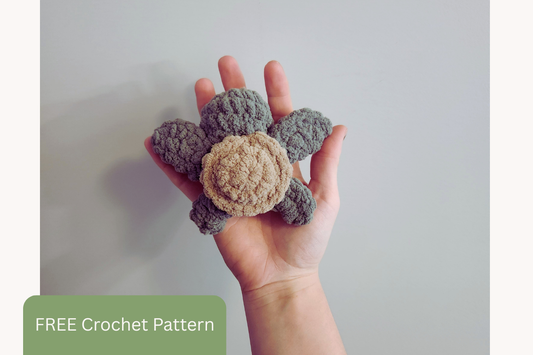 FREE Pattern - Tate the Turtle